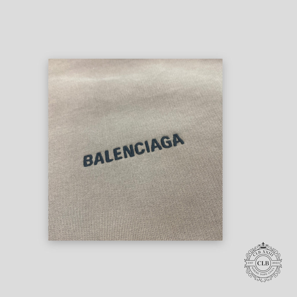 Balenciaga Medium Fit Logo Hoodie in Light Brown